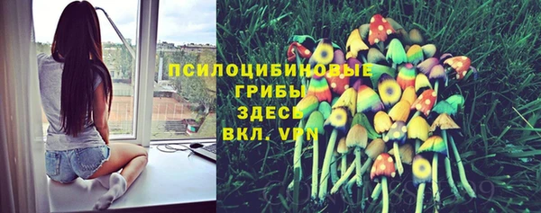 прущая мука Богородск