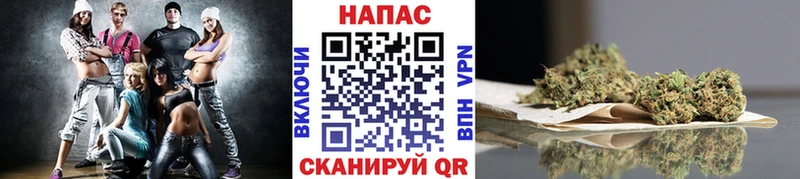 где купить наркоту  Светлый  Марихуана Bruce Banner 